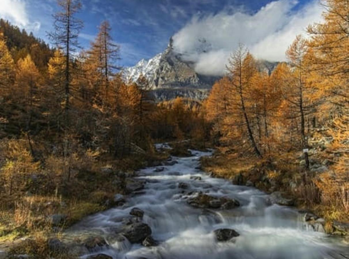 La Tana Del Ludo Appartement Baveno Buitenkant foto