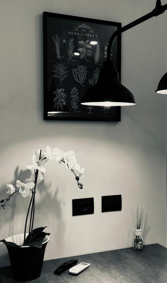La Tana Del Ludo Appartement Baveno Buitenkant foto